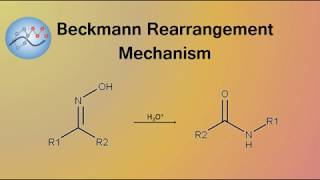 Beckmann Rearrangement Mechanism  Organic Chemistry [upl. by Dust]