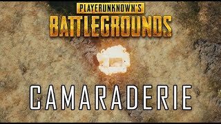 CAMARADERIE  PUBG [upl. by Ten917]