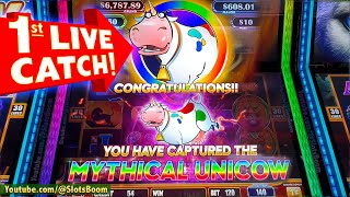 1st LIVE UNICOW on LION EYES SLOT BONUS FREE GAMES amp RETRIGGER  CASINO SLOT Yaamava [upl. by Aer]