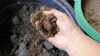 Creating Loam soil mix [upl. by Sedecrem]