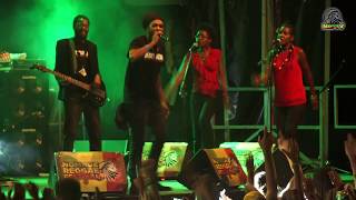 YaniSs Odua​  Chalawa Live Nomade Reggae Festival 2017 [upl. by Thrift92]