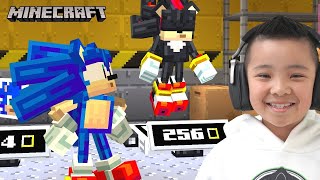 Sonic Minecraft Act 2 CKN Gaming [upl. by China]