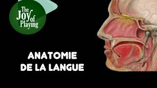 ANATOMIE DE LA LANGUE  PLAISIR DEXPLORER  MARC PAPILLON [upl. by Iruyas]