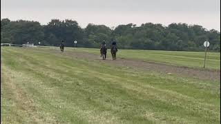 Chindwin far side working in Newmarket on Saturday [upl. by Rew]