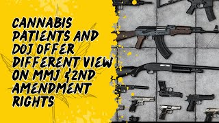 Rahimi Case Cannabis Patients vs DOJ Interpretations [upl. by Elatsyrc]