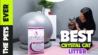 The 5 Best Crystal Cat Litters Ranked and Reviewed [upl. by Tama870]