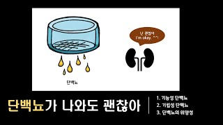 단백뇨 1  단백뇨가 나와도 괜찮아  일시적인 단백뇨  기능성 생리적 기립성 단백뇨 [upl. by Torre]