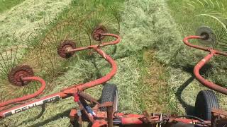 Raking Hay Using Gehl Wheel Rake [upl. by Nylauqcaj]