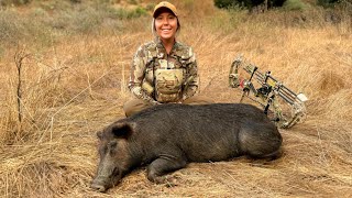 Female Bowhunters FIRST Wild Pig [upl. by Burley]