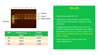 Plasmids Extrachromosomal Circular DNA used in Cloning [upl. by Nawek927]