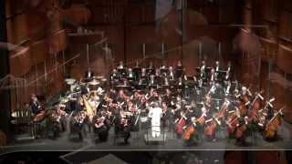 Adagio for Strings  Samuel Barber Theme from quotPlatoonquot [upl. by Freeland]