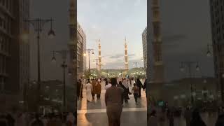 Mohammed ka roza qareen aaraha h [upl. by Anitnahs]