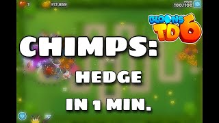 BTD6  Hedge CHIMPS in 1 min Nov 2022 [upl. by Timotheus]