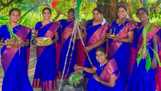 PONGAL CELEBRATION  Mattu Pongal  Grand Tamil Special Festival Celebrate in Village by farmers [upl. by Bandeen85]