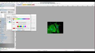 Microscope camera software introductionStill Image Fluorescence Composite [upl. by Vivica]