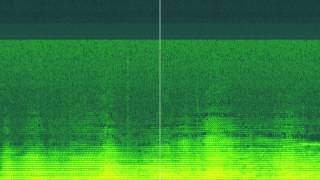 Georg Friedrich Haas – String Quartet No 3 quotIn iij Noctquot w Spectrogram [upl. by Red389]