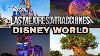 Todo lo que Debes Conocer en Disney ¡Guía para tu Primer Viaje [upl. by Humble842]