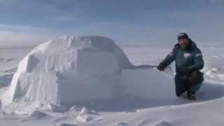 Kids Igloo  Frozen Oceans  Arctic [upl. by Ahcatan]