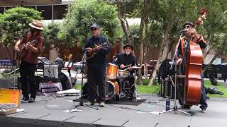 Sea Cruise  Jimbo Trout and the FishPeople  People in Plazas  SF CA  August 2 2018 [upl. by Pich]