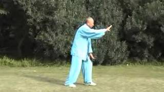 吳式太極拳 Taijiquan style Wu Master Fei Guo Qing Shanghai [upl. by Amjan]