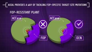 Explaining Herbicide Resistance Herbicide modes of action [upl. by Aidaas]