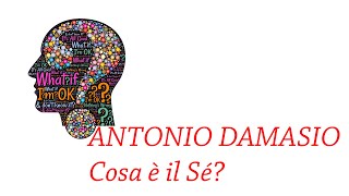 ANTONIO DAMASIO cosa è il Sé [upl. by Novyad]