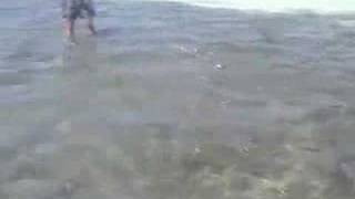 Fly Fishing for Bonefish in Los Roques Venezuela [upl. by Aneelahs]