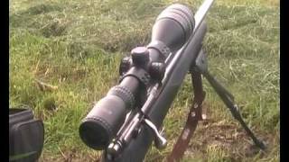 17 hmr 295 yards shot at a pidgeon [upl. by Gnoud475]