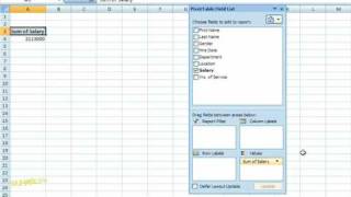 How to Create a Pivot Chart in Excel 2007 For Dummies [upl. by Cormac]