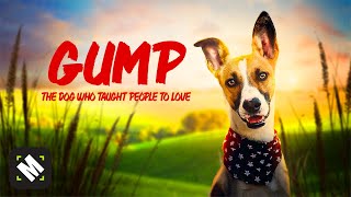 Gump  Free Family Adventure Movie  Full Dog Movie  MOVIESPREE [upl. by Otreblide79]