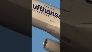 MAJESTIC WINGWAVE LUFTHANSA AIRBUS A380 staytuned automobile fighteraircraft aviation [upl. by Alena]