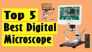 Best Digital Microscope Top 5 Best Digital Microscope In 2022 [upl. by Kcirrem349]