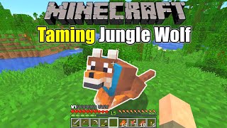 Minecraft Survival  Taming a Jungle Wolf Survive amp Thrive 2024  Ep 5 [upl. by Amersham]