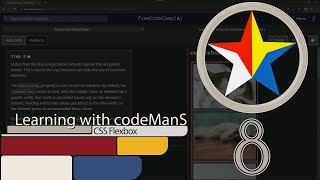 FreeCodeCamp  Learn CSS Flexbox by Building a Photo Gallery Step 8  Responsive Web Design [upl. by Leahcir]