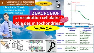 La respiration cellulaire et le rôle des mitochondries svt 2 bac pc BIOF شرح بالداريجة [upl. by Samp]