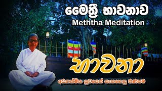 Bawana Maithri Bawana මෛත‍්‍රී භාවනාව  Gampaha Mahanama Thero [upl. by Ettenad502]