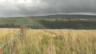 Hiking England Pennine Way  Part 16 Alston to Lambley [upl. by Saixela993]