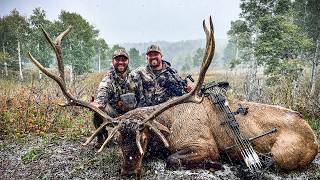 Archery Elk Hunt In The Utah Mountains  Deer Season 24 [upl. by Annairdua]