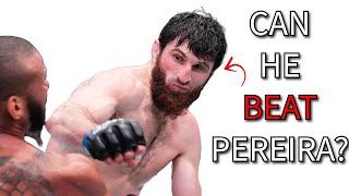 Can Magomed Ankalaev Beat Alex Pereira [upl. by Gusta]