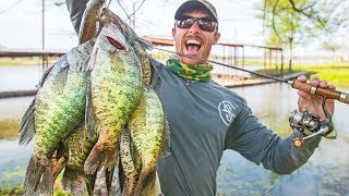 BIG CRAPPIE SPAWNING in Shallow Brush CATCH amp COOK [upl. by Kisor]