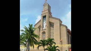 Mt Carmel Shrine Live Stream  Liturgical Services [upl. by Dnyletak]