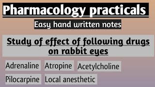 Pharmacology practical l effect of adrenaline Ach atropine pilocarpine amp xylocain in rabbit eye l [upl. by Jacquelynn]