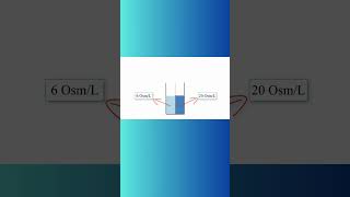 OSMOLES and DIFFUSION OF WATER physiology osmosis diffusion osmoticpressure biochemistry [upl. by Premer155]