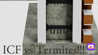 Termites and ICF [upl. by Dana673]