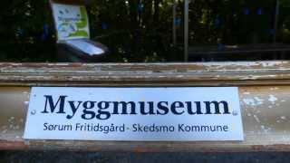 Myggmuseum  Sørum fritidsgård [upl. by Novyart277]