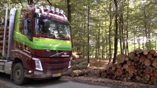 van der Wiel Timber Transport [upl. by Danella]