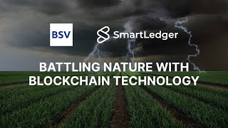 Battling nature with blockchain technology  Precision Agriculture [upl. by Fancy171]