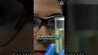 Paradas en las Plantas Industriales  Los STO La clave de una producción sin interrupciones [upl. by Annahsal583]