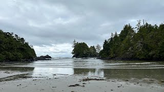 Tofino  Tofino cabin vlog  day 3 [upl. by Vacla767]