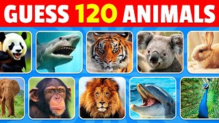 Guess 120 Animals in 3 Seconds  Easy Medium Hard Impossible [upl. by Adall]